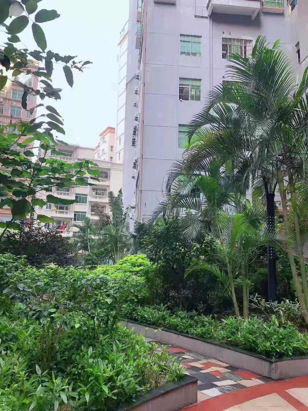 布吉村委统建楼【南湾花园】购房可落户16500一平(图3)