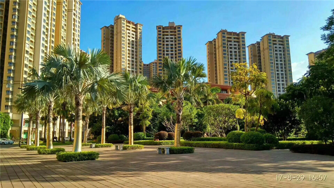 深圳北站18分钟「雅居乐花园」学位房送豪华装修(图4) 深圳北站18分钟「雅居乐花园」学位房送豪华装修(图4)