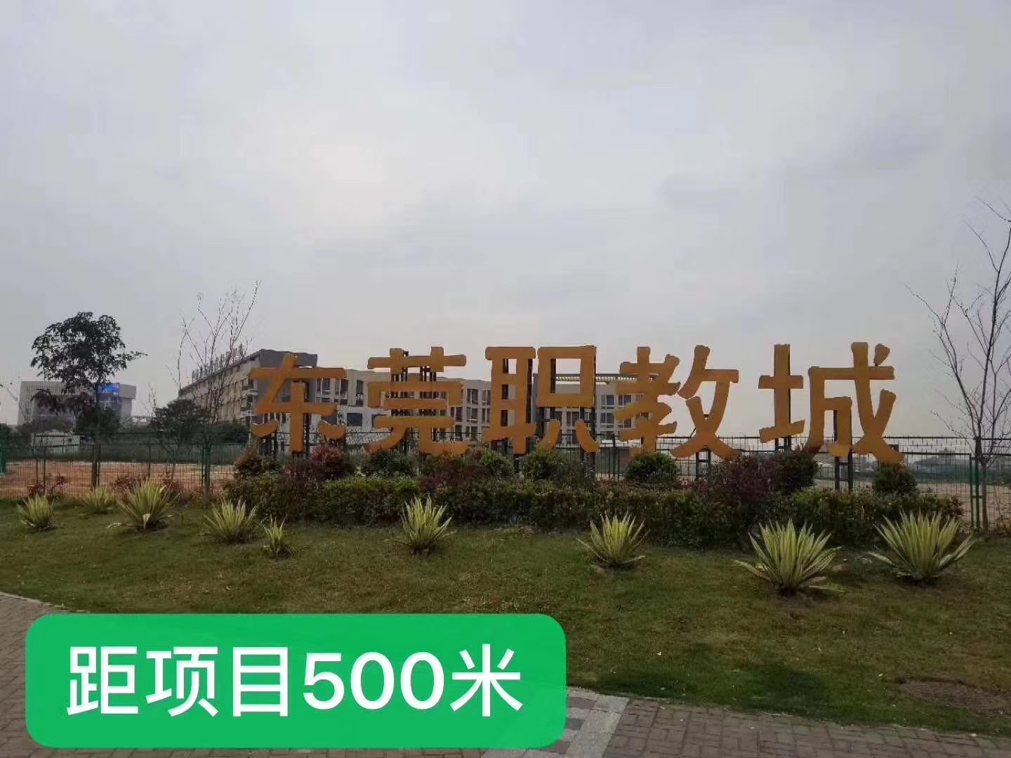 横沥村委集资房【东部花园】与理工大学为邻居(图6)