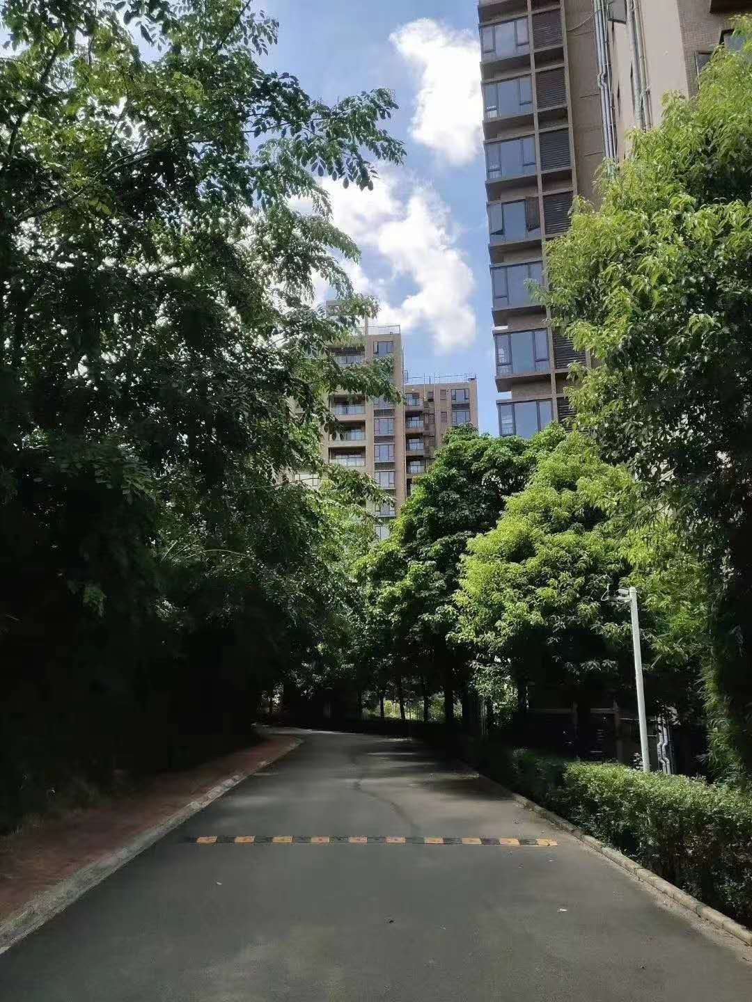 真正松山湖5栋花园【香榭松湖】价格14000起送豪华装修(图3) 真正松山湖5栋花园【香榭松湖】价格14000起送豪华装修(图3)