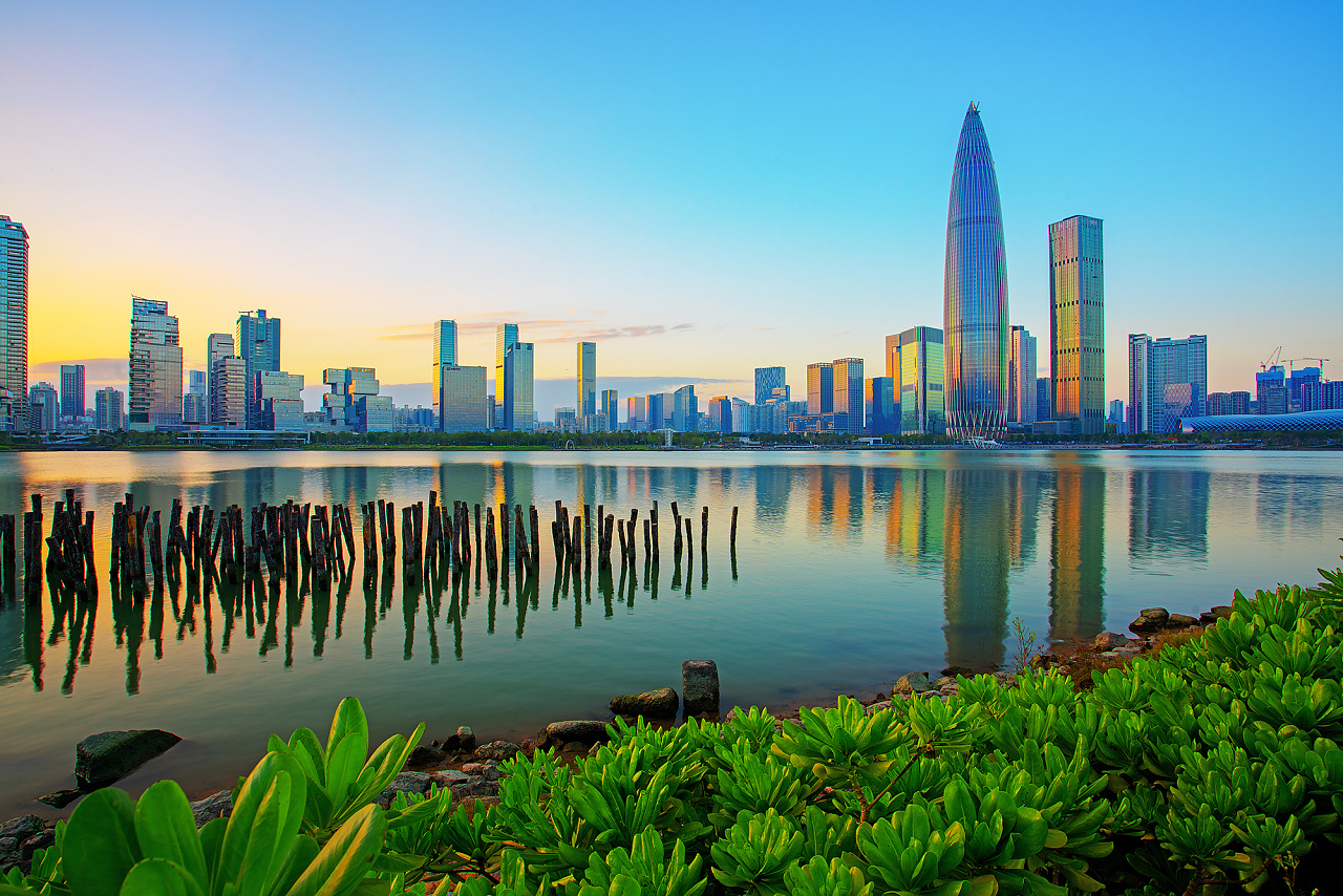 稀缺原始户型【荔馨苑】地铁南山站350米(图10)
