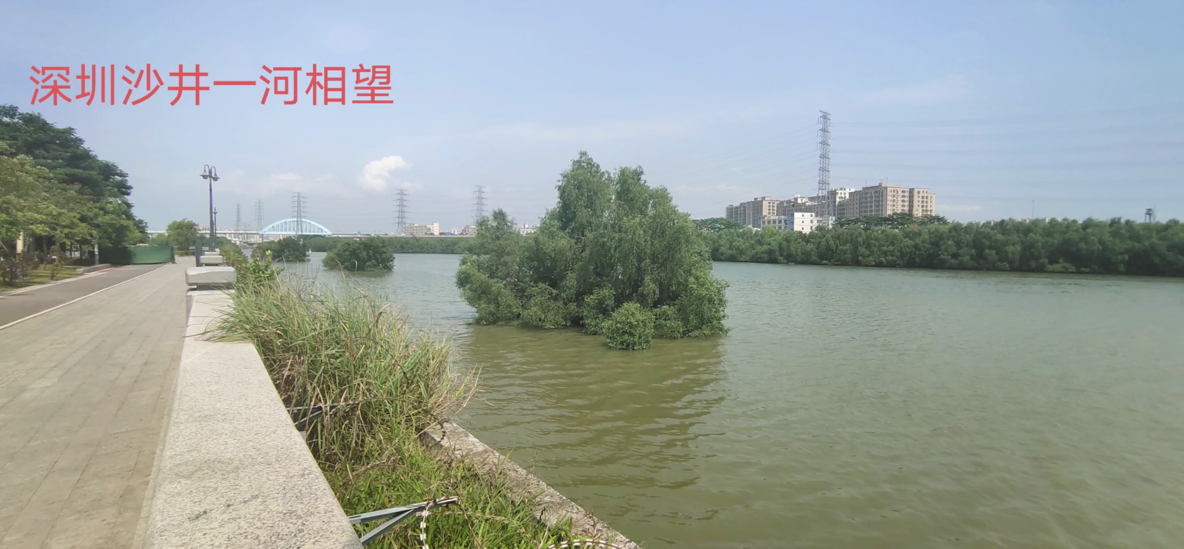 沙井一步之隔【东宝华庭】长安新民4880一平(图4)