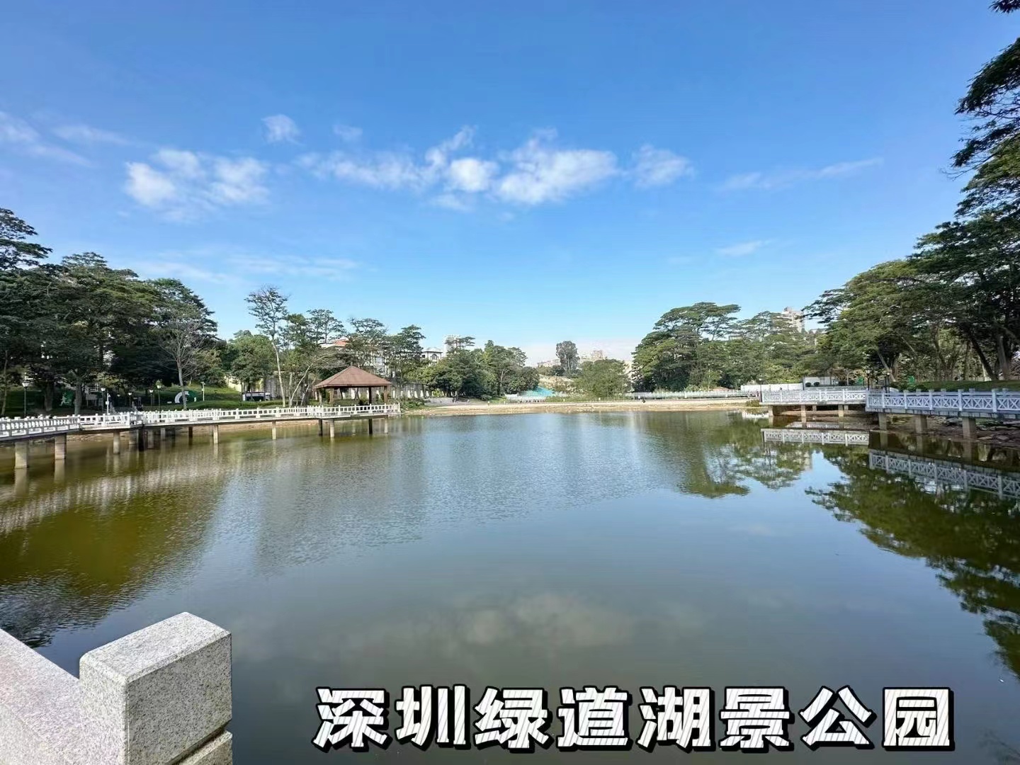 要钱不要房【龙华首府】龙华精装两房总价39.8万一套(图2)