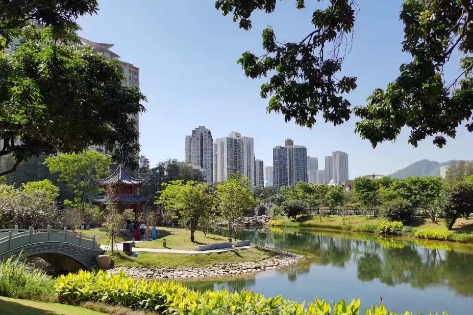 首付21万起【四海城】买南山蛇口花园房(图3) 首付21万起【四海城】买南山蛇口花园房(图3)