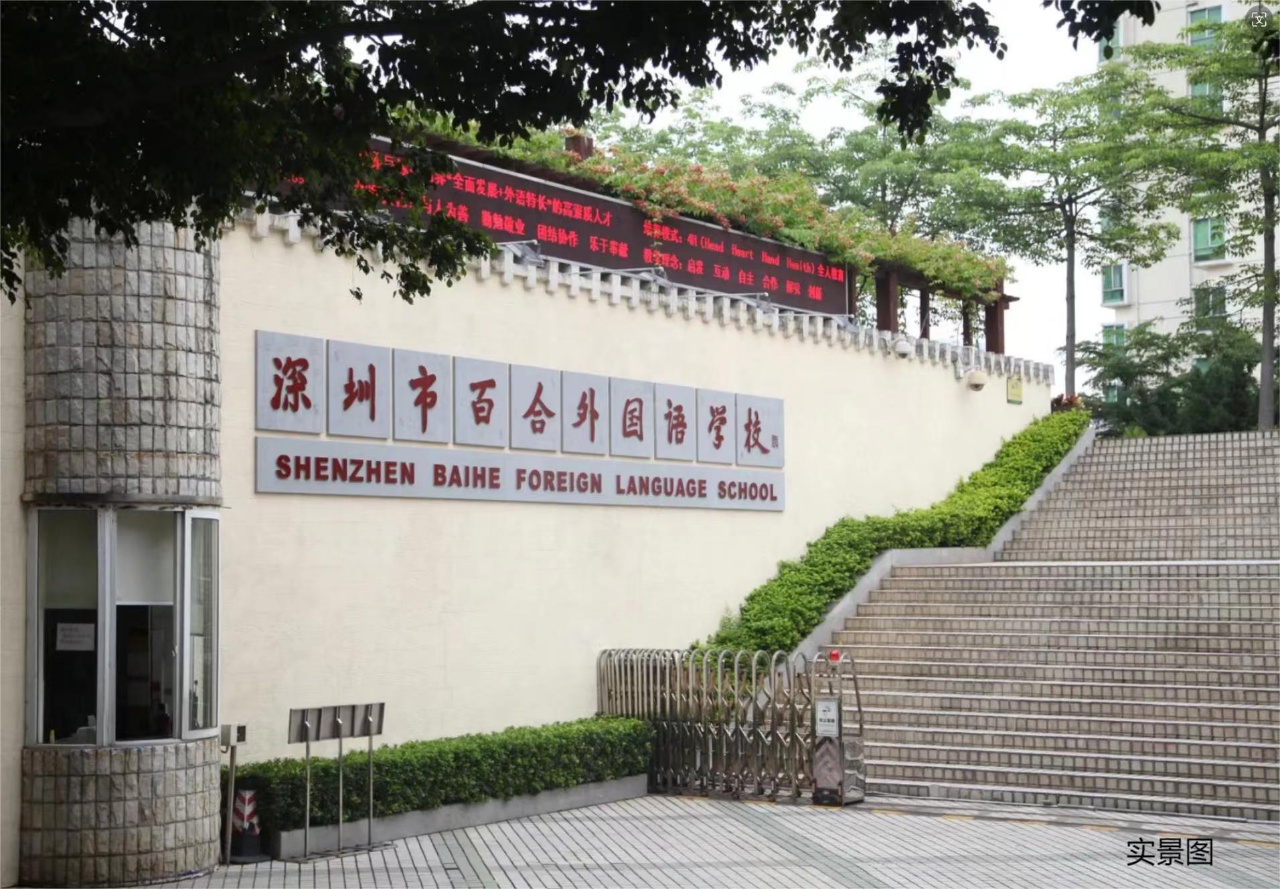 布吉新盘【百合雅苑】精装两房首付18万一套起，宅基地民水民电，通天然气(图3)