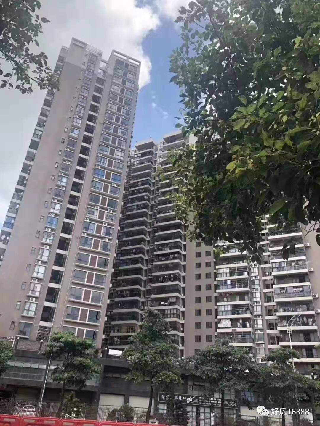 石岩湖湿地公园【星耀花园】3栋花园两房首付39万起(图4)